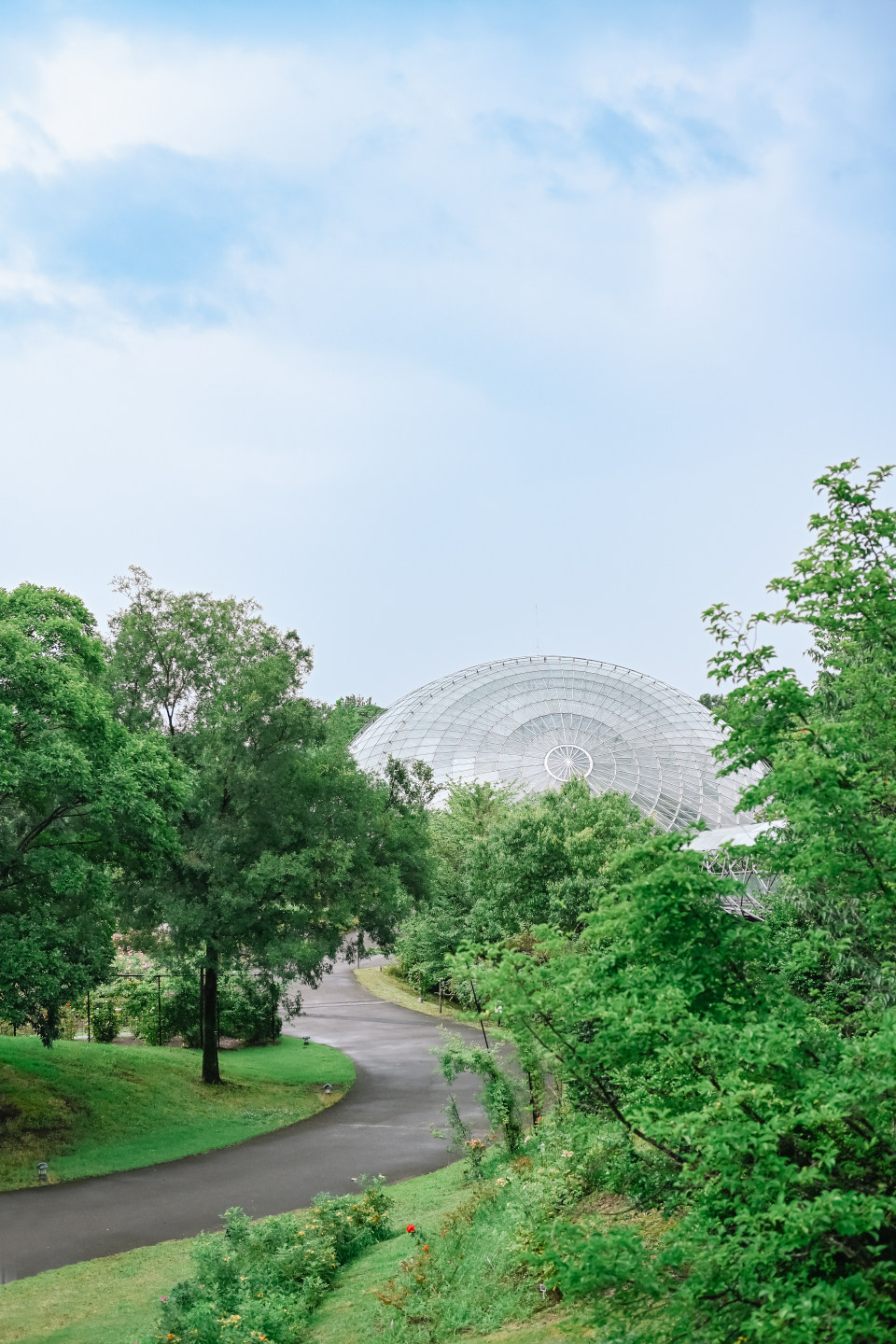 Z f を手に巡る鳥取旅 – 鳥取砂丘、植田正治写真美術館、花回廊…１泊２日で巡る11スポット