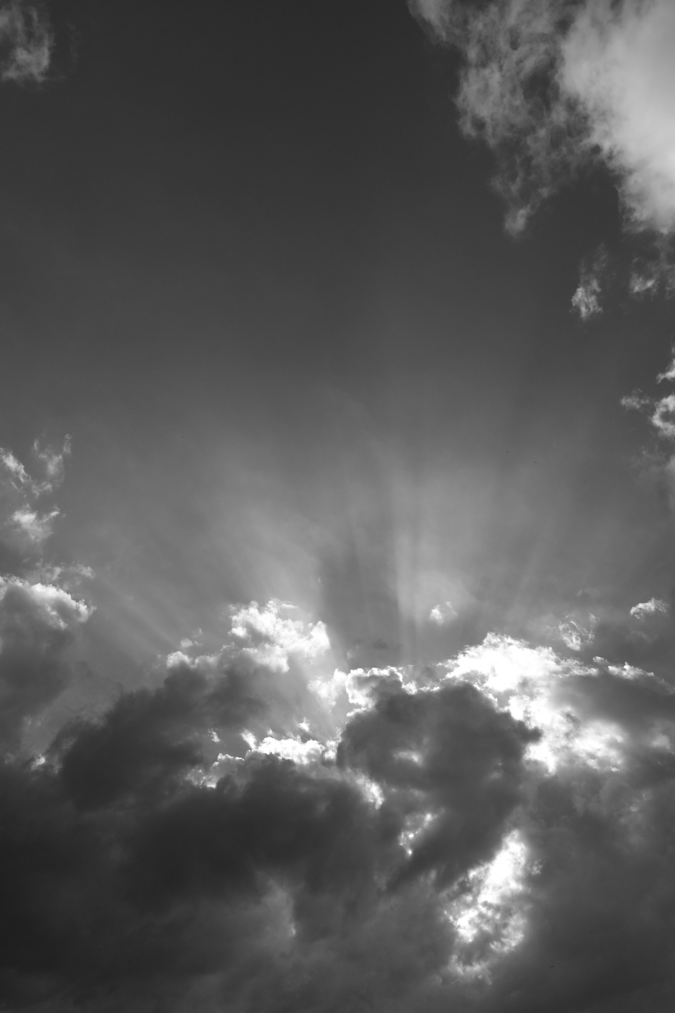 Z f、NIKKOR Z 14-24mm f/2.8 S