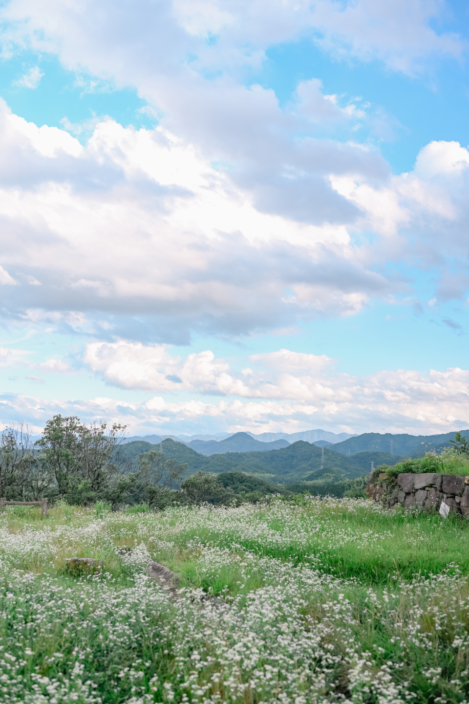 Z f を手に巡る鳥取旅 – 鳥取砂丘、植田正治写真美術館、花回廊…１泊２日で巡る11スポット