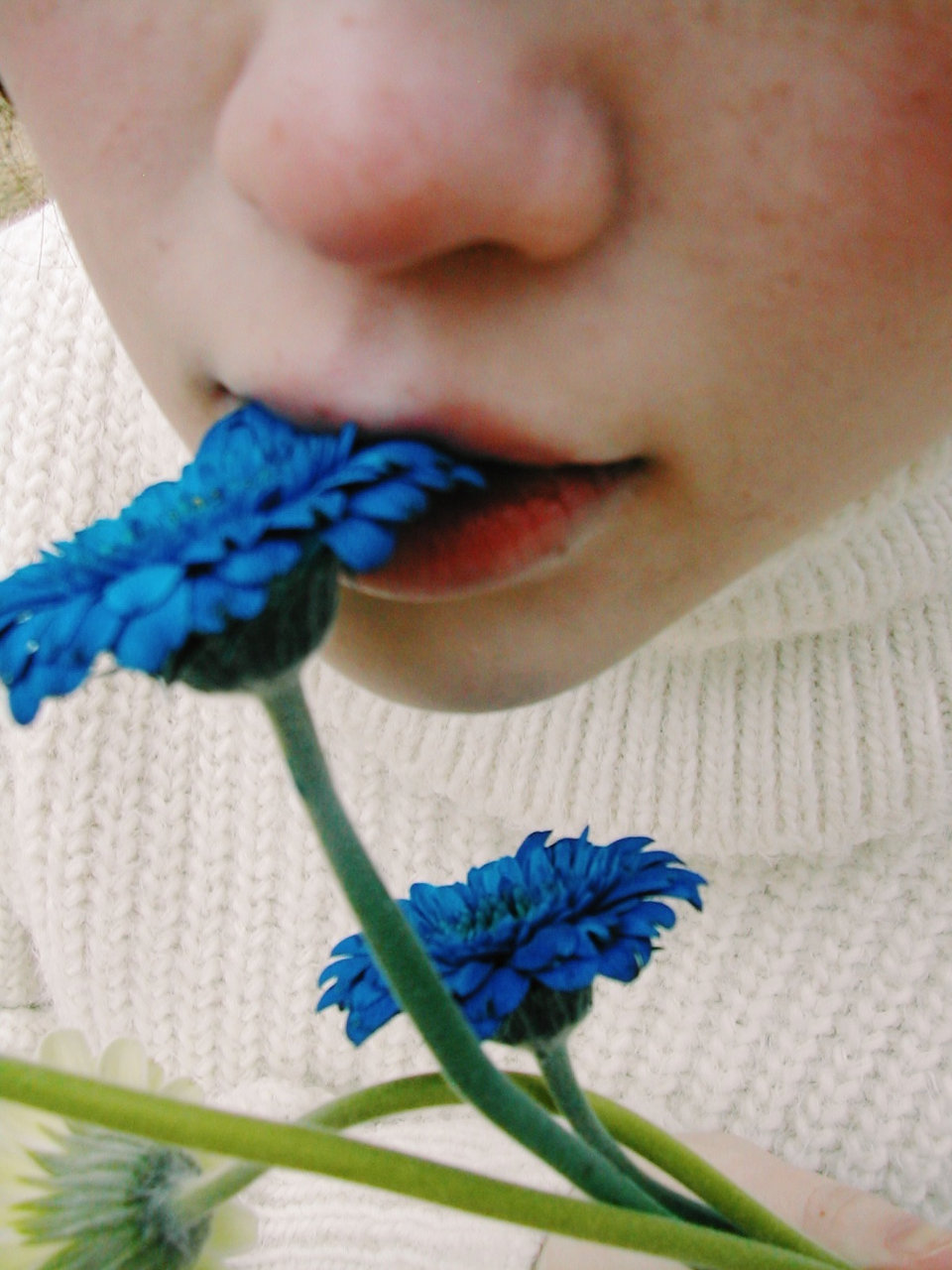 COOLPIX775/photo by 葵 COOLPIX775/photo by 葵