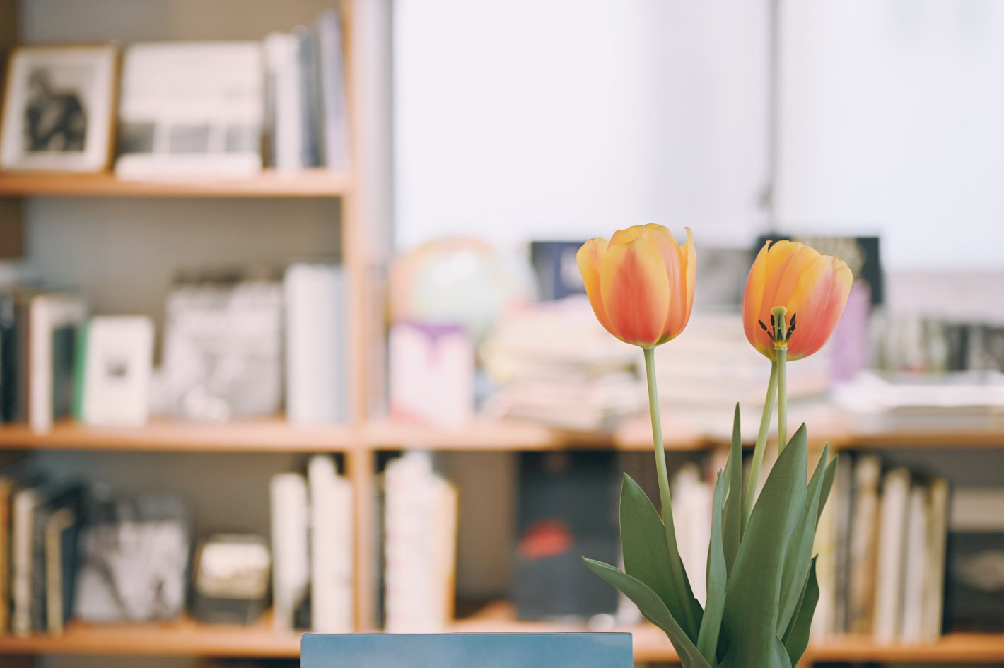 f:id:nicostop1:20190610223805j:plain