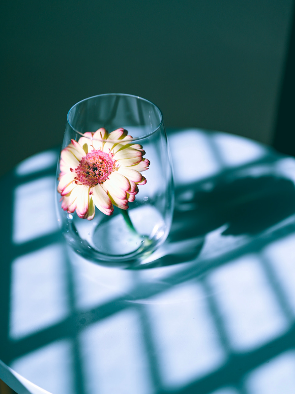 Z 6、NIKKOR Z 50mm f/1.8 S