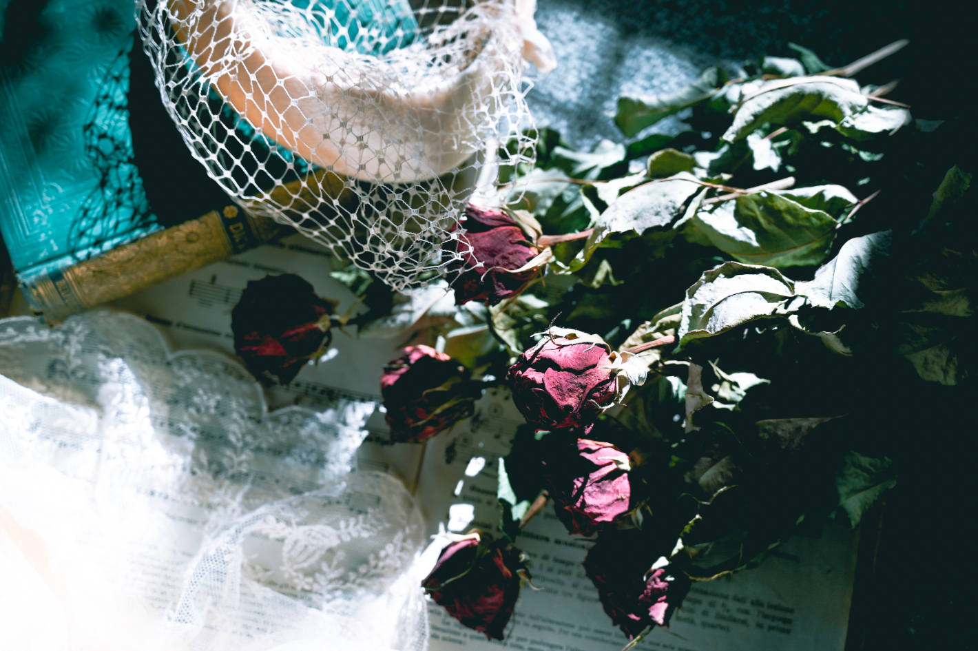 Z 6、NIKKOR Z 50mm f/1.8 S