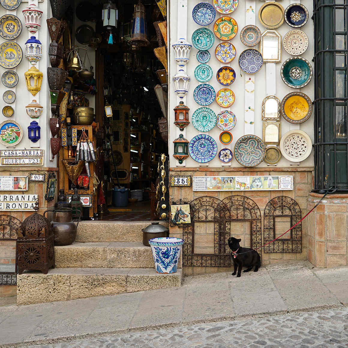 猫と世界旅行!?黒猫ノロと飼い主がたどり着いた、旅と写真のライフスタイル