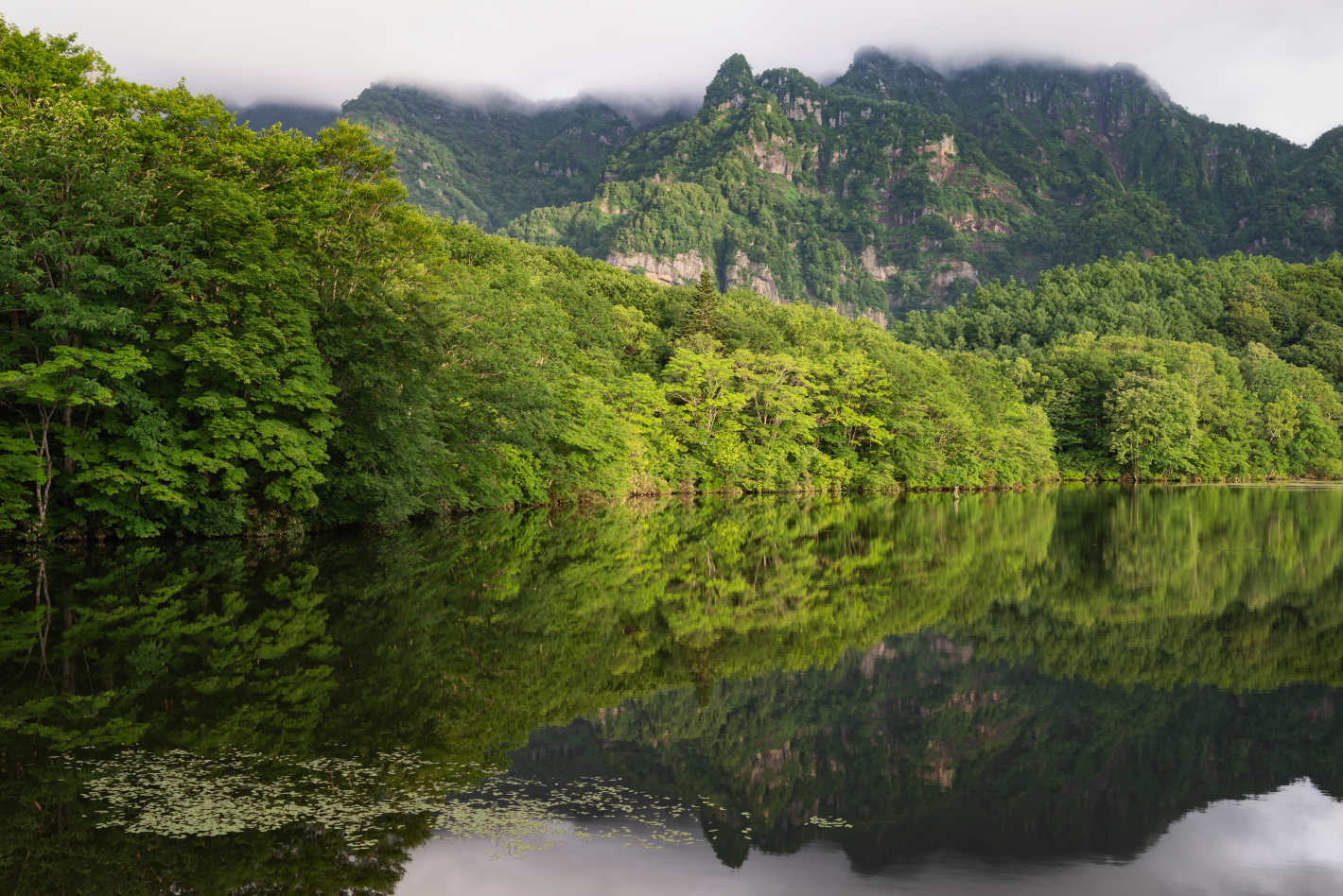 D800、AF-S NIKKOR 24-70mm f/2.8G ED D800、AF-S NIKKOR 24-70mm f/2.8G ED