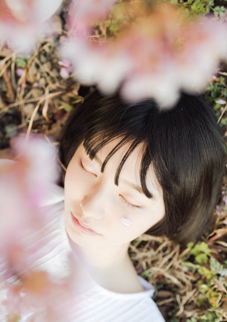Z 6II、NIKKOR Z 50mm f/1.8 S Z 6II、NIKKOR Z 50mm f/1.8 S