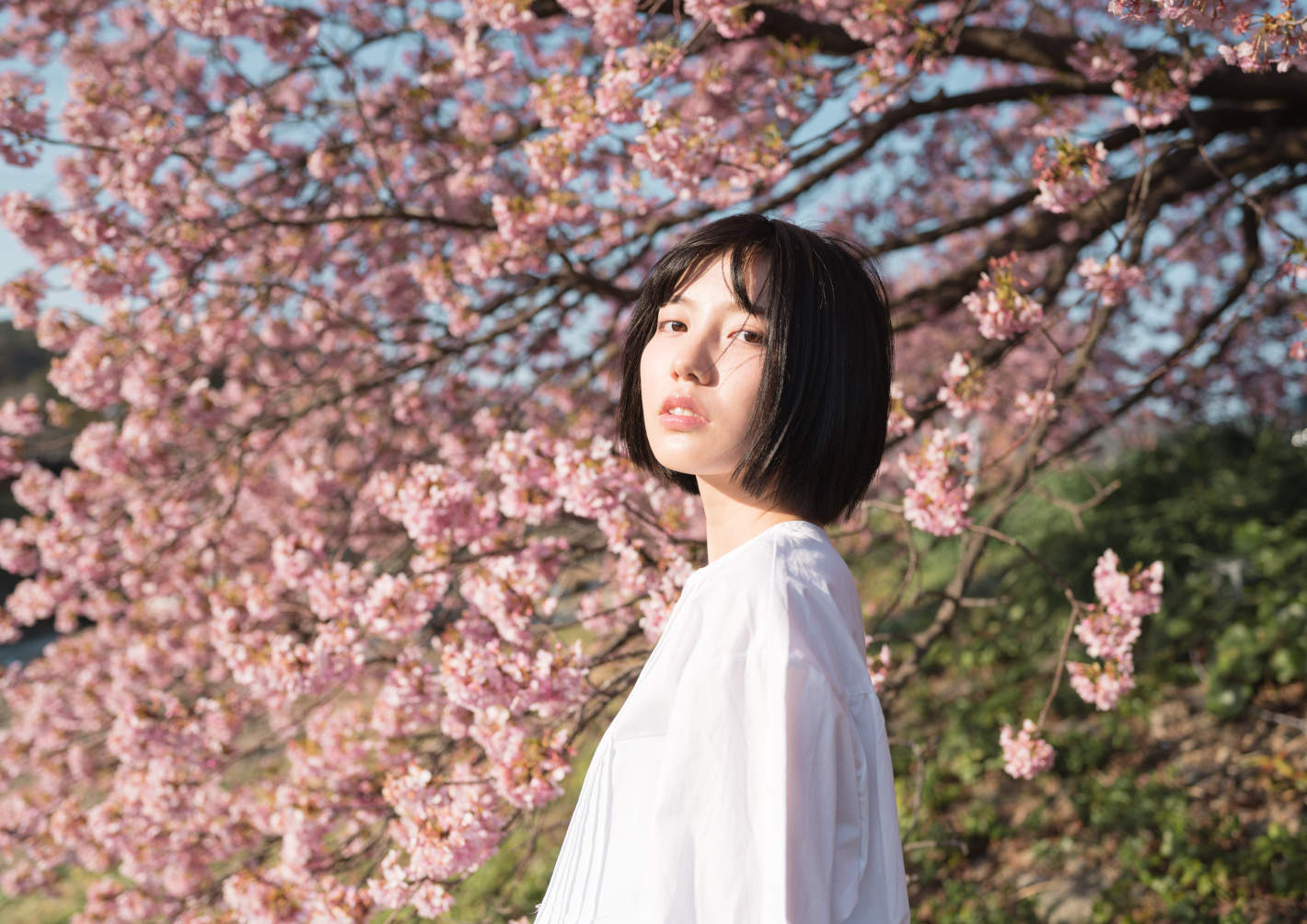 桜ポートレートの基本 応用 ボケ アングル 光 構図で広がる表現の10要素 Nico Stop ニコストップ フォトライフスタイルwebマガジン 桜ポートレートの基本 応用 ボケ アングル 光 構図で広がる表現の10要素 Nico Stop ニコストップ フォトライフスタイルwebマガジン