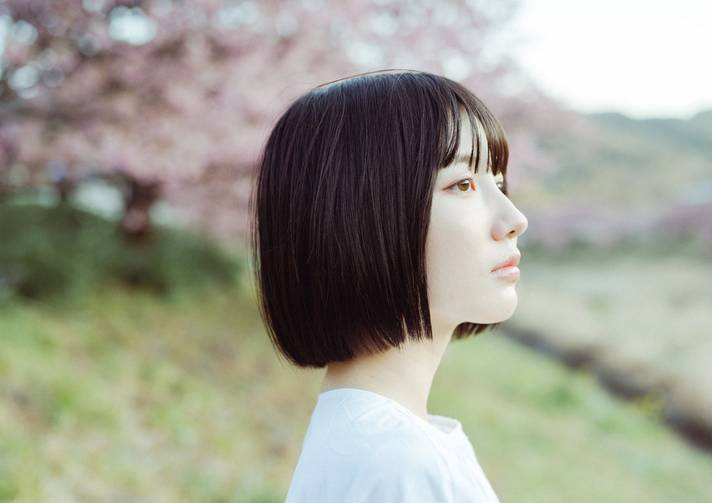 Z 6II、NIKKOR Z 50mm f/1.8 S Z 6II、NIKKOR Z 50mm f/1.8 S