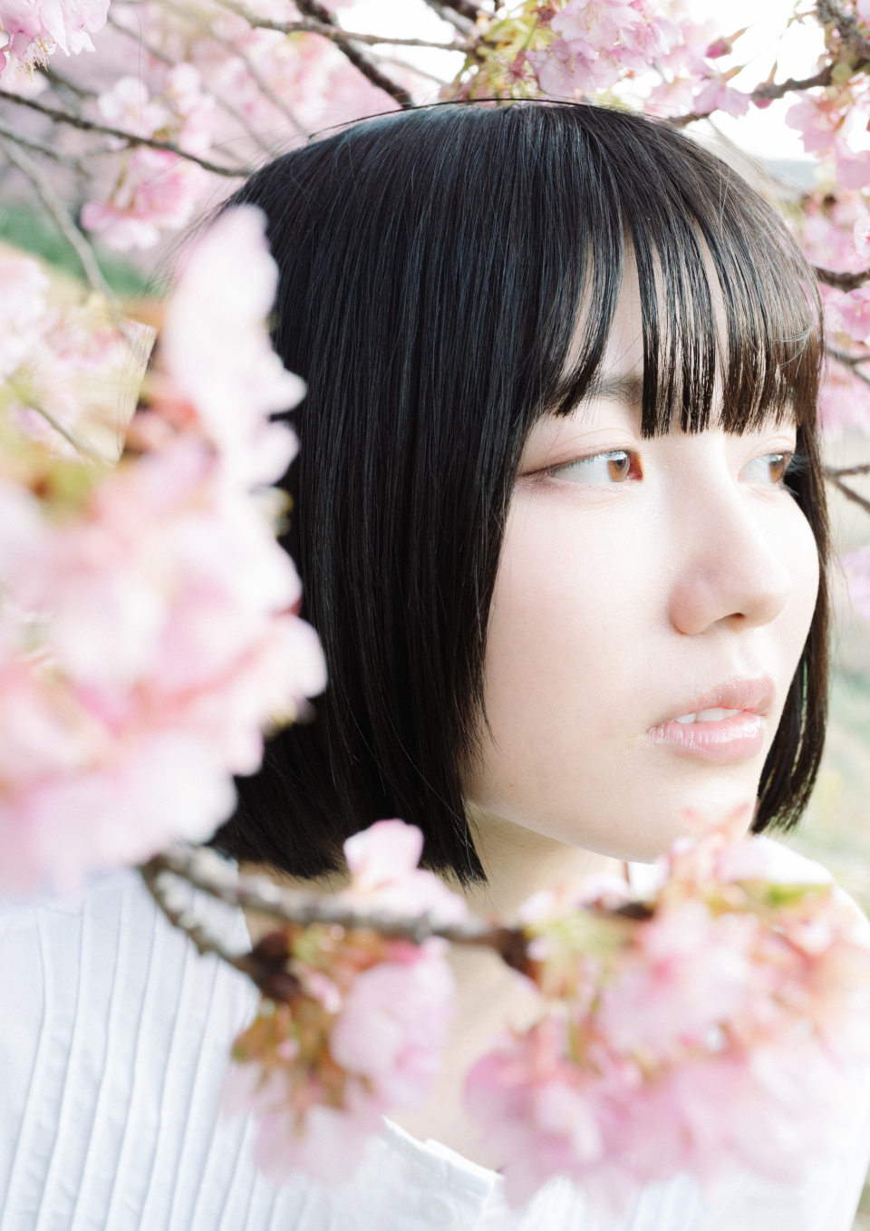 Z 6II、NIKKOR Z 50mm f/1.8 S Z 6II、NIKKOR Z 50mm f/1.8 S
