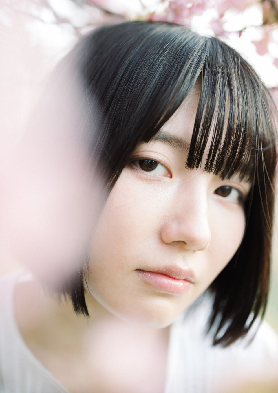 Z 6II、NIKKOR Z 50mm f/1.8 S Z 6II、NIKKOR Z 50mm f/1.8 S