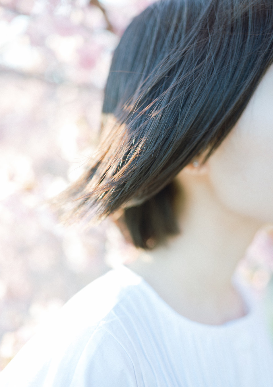 Z 6II、NIKKOR Z 35mm f/1.8 S Z 6II、NIKKOR Z 35mm f/1.8 S