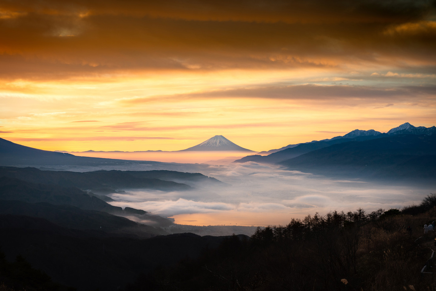 D800、AF-S NIKKOR 24-70mm f/2.8G ED D800、AF-S NIKKOR 24-70mm f/2.8G ED