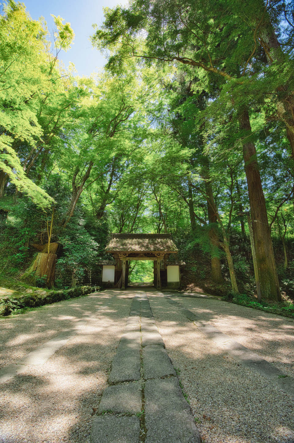 Z 6II、NIKKOR Z 14-30mm f/4 S Z 6II、NIKKOR Z 14-30mm f/4 S