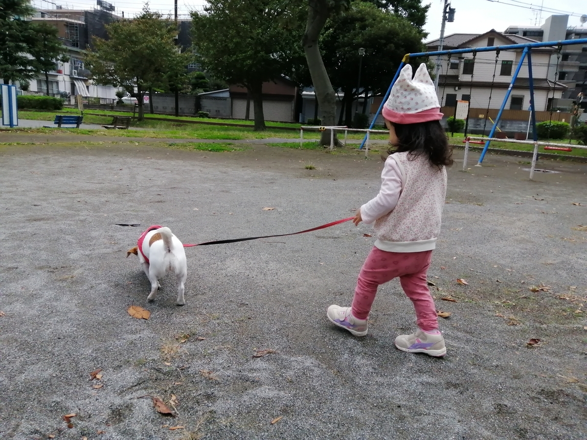 f:id:nicosugi:20191112142033j:plain