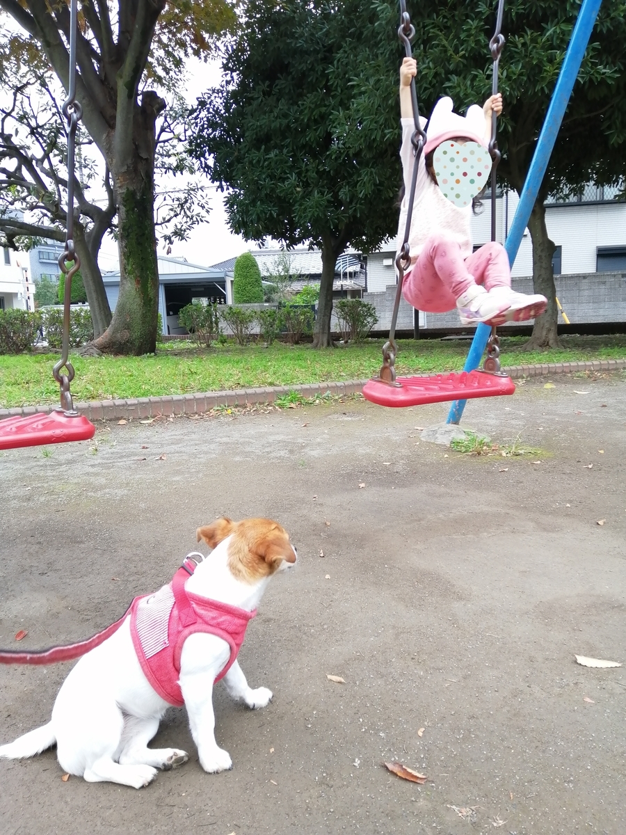 f:id:nicosugi:20191112142103j:plain