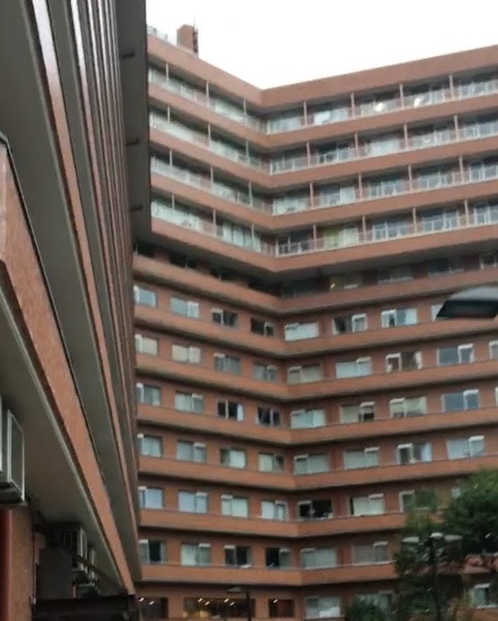 f:id:nicotakuya:20200928101759j:plain