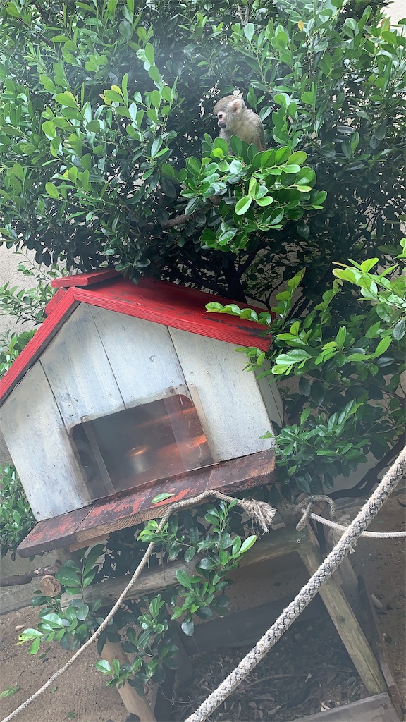 f:id:nicothrm:20190630161518j:image f:id:nicothrm:20190630161518j:image