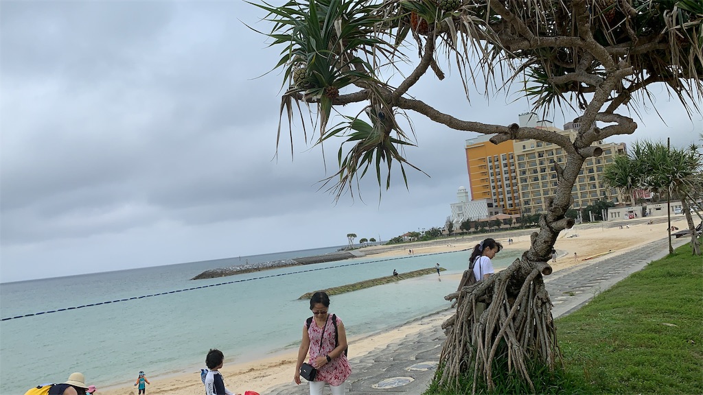 f:id:nicothrm:20190701091312j:image f:id:nicothrm:20190701091312j:image