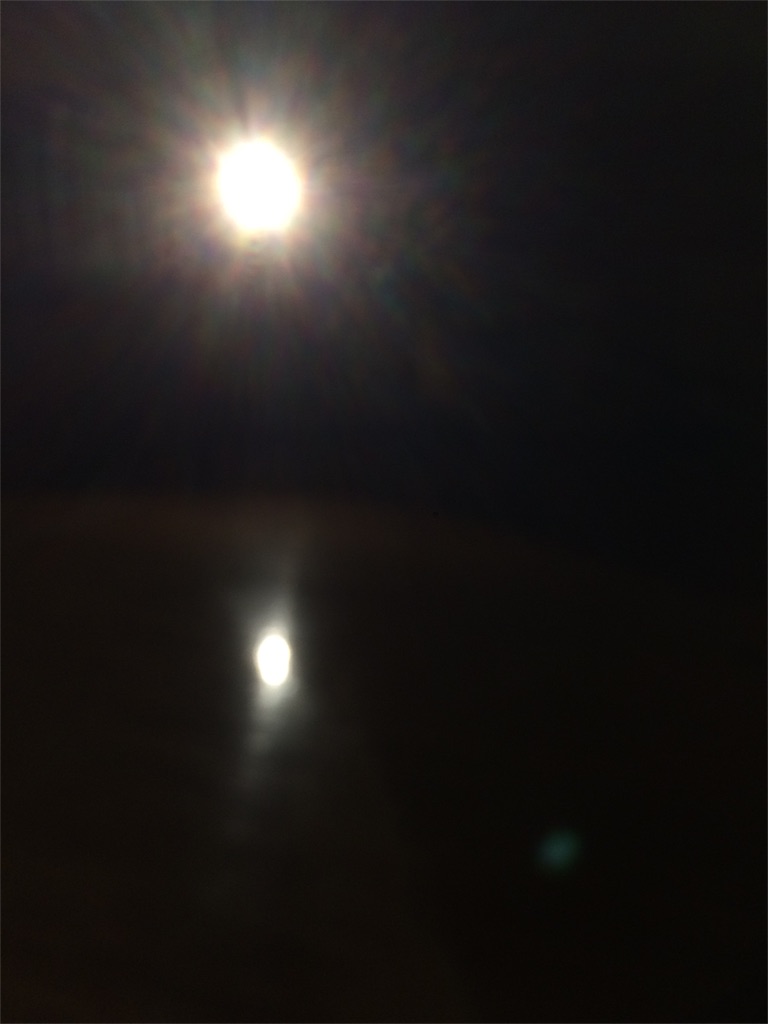 f:id:nidonenidone:20160807011833j:image f:id:nidonenidone:20160807011833j:image