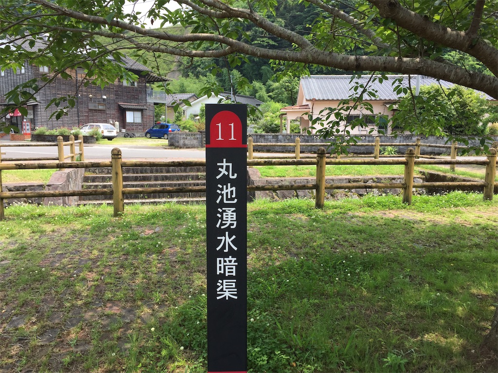 蛍に会いに行くto 霧島 はまあやのくらし