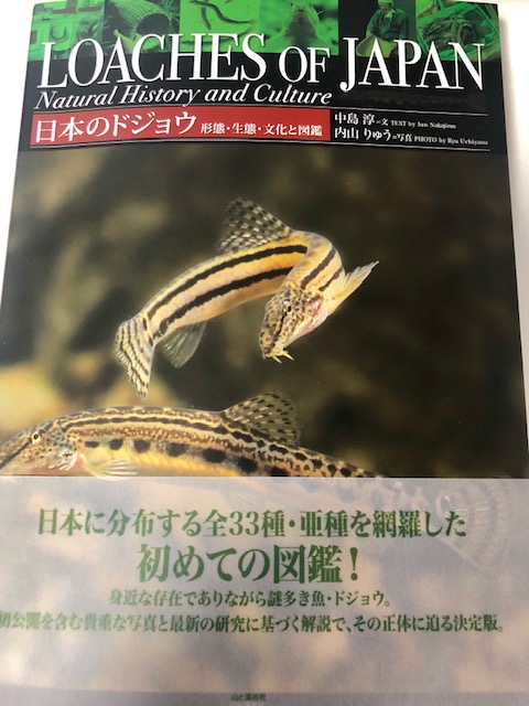 f:id:niesul:20190920164221j:plain