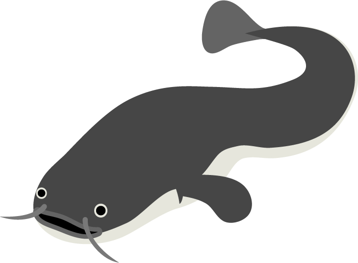 f:id:niesul:20190922050943j:plain