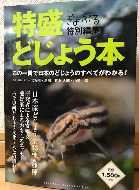 f:id:niesul:20191001000637j:plain