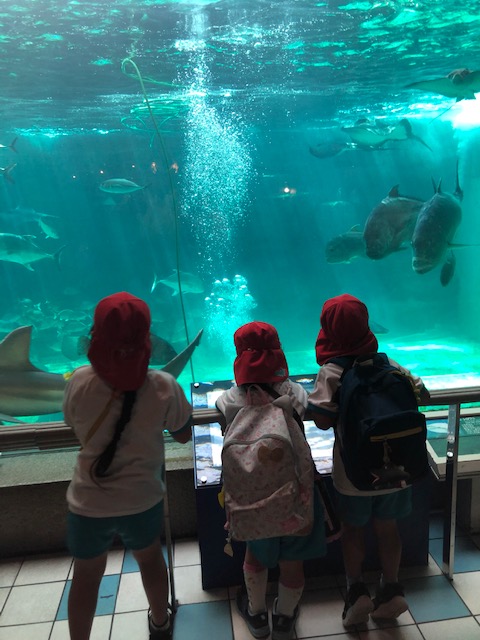 f:id:niesul:20191001000645j:plain