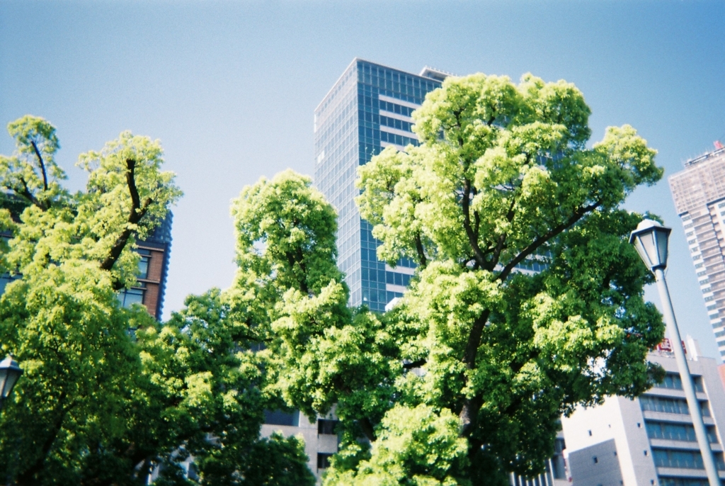 f:id:nigaichocolate:20180604235324j:plain