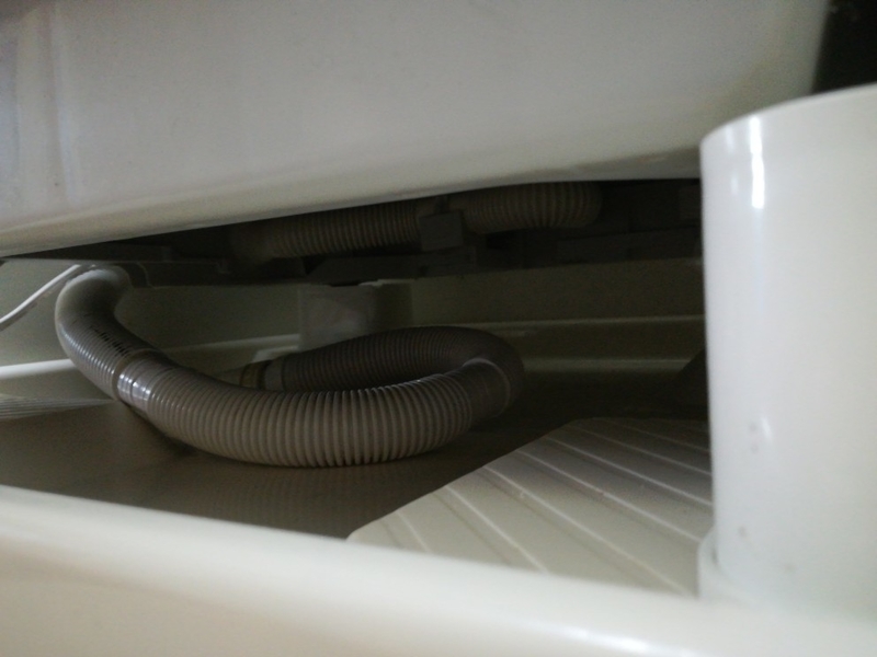 f:id:nigamushikamiko:20210827141051j:plain