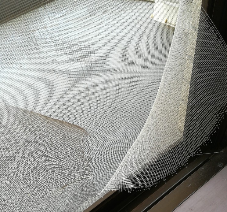 f:id:nigamushikamiko:20210913084936j:plain