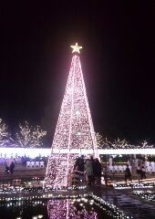 f:id:nigatu23:20181230211033j:image f:id:nigatu23:20181230211033j:image