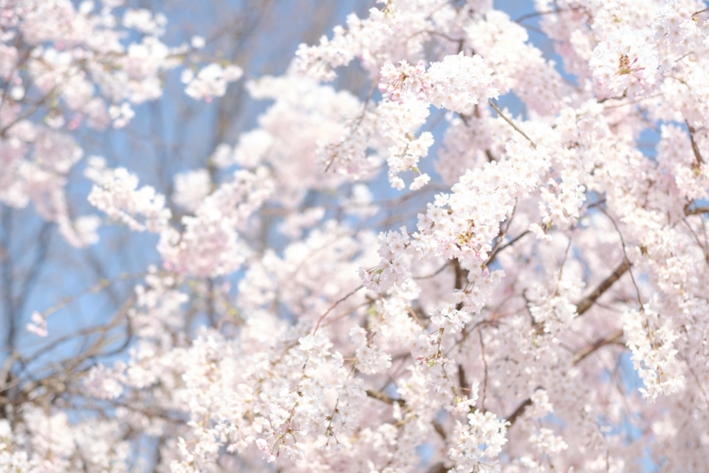 f:id:nigerugakati39:20180401163659j:plain