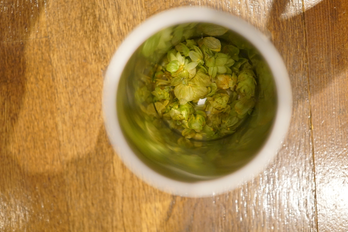 f:id:night-owl-ebisu:20190809163256j:plain f:id:night-owl-ebisu:20190809163256j:plain