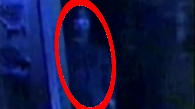 f:id:night113:20170725194533j:image f:id:night113:20170725194533j:image