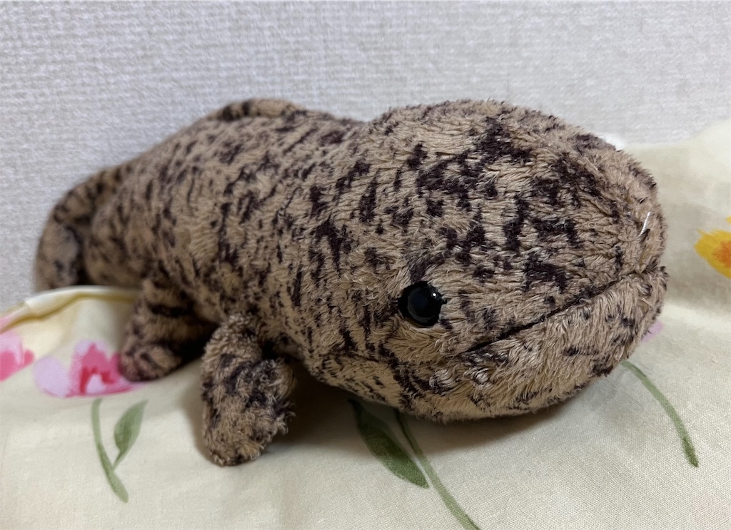 f:id:night_quartet:20231210220128j:image