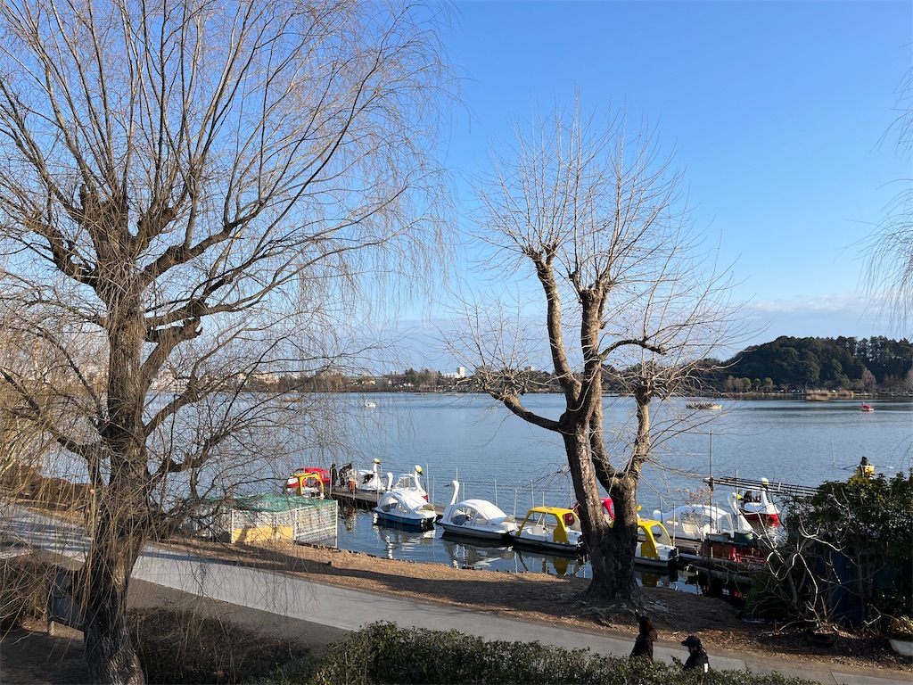 f:id:night_quartet:20240308101636j:image