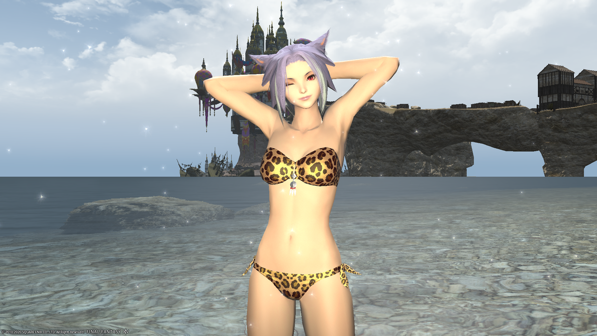 f:id:nighteye001:20200809144608p:plain
