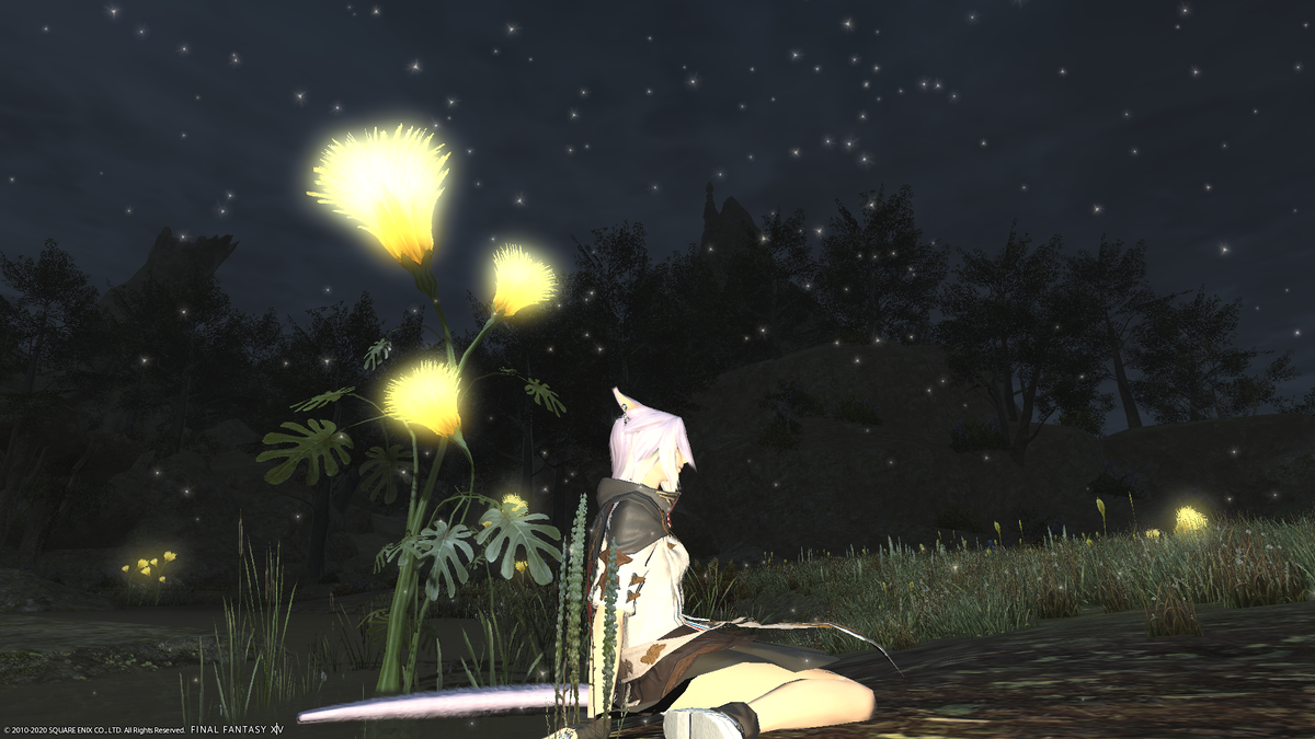 f:id:nighteye001:20200926101511p:plain