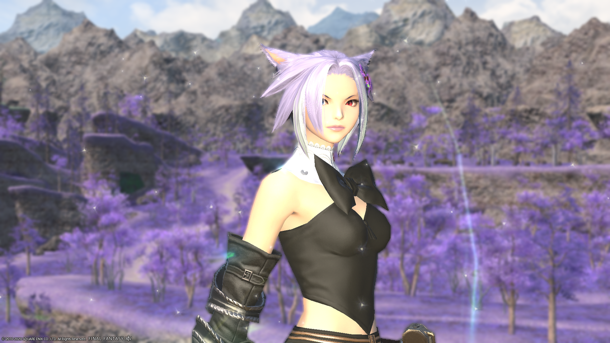f:id:nighteye001:20201002162547p:plain