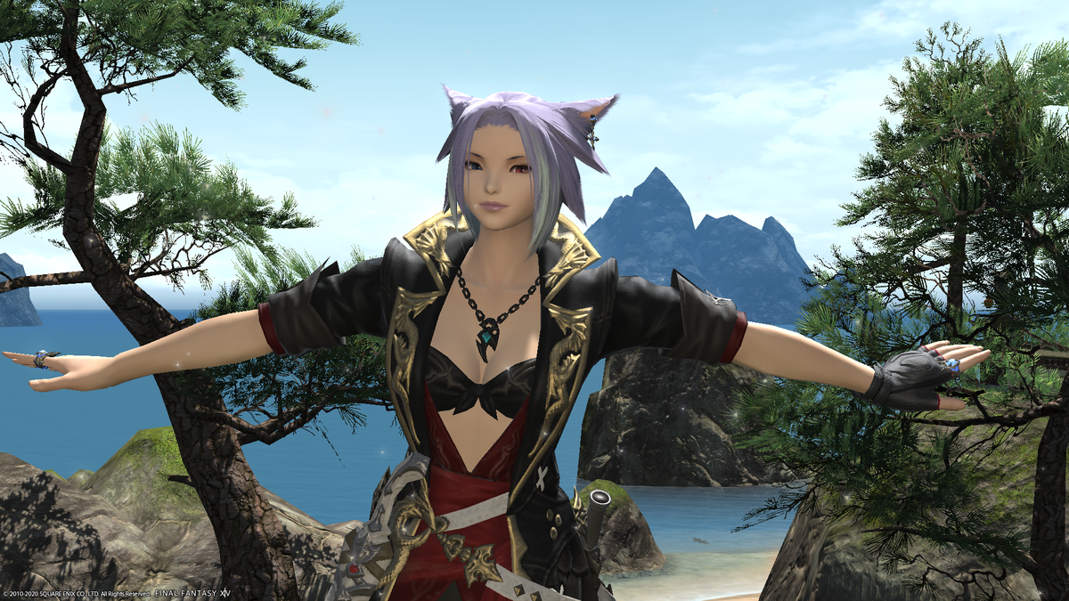f:id:nighteye001:20201015111604p:plain