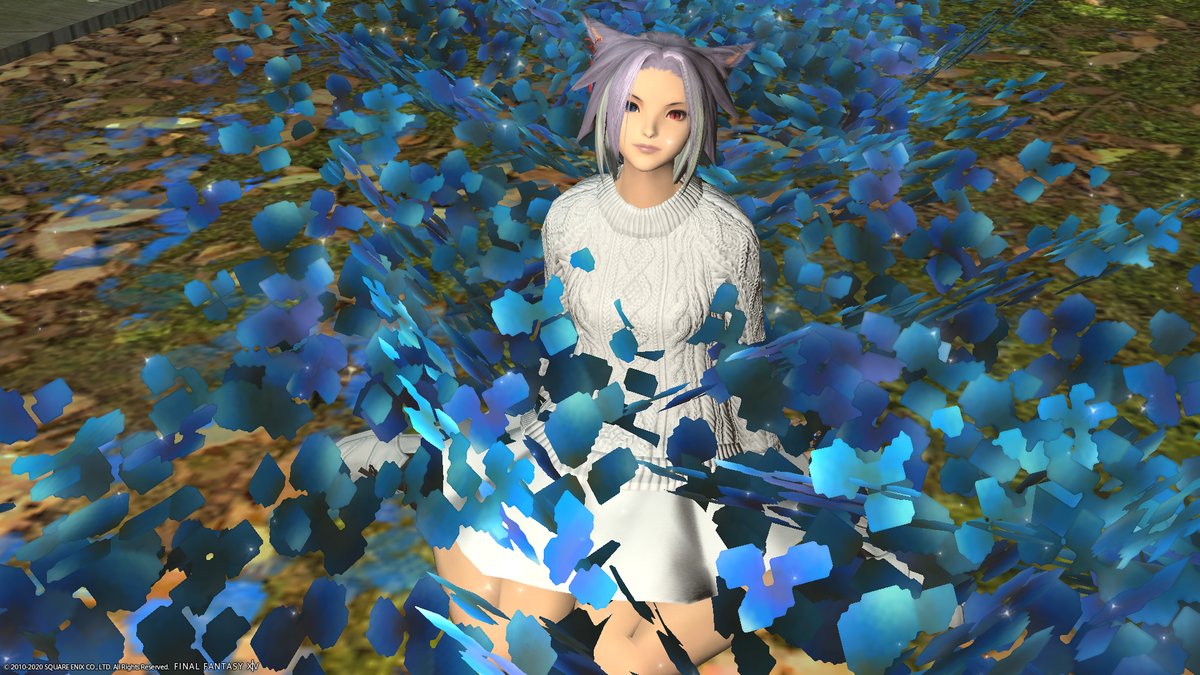 f:id:nighteye001:20201103134114p:plain