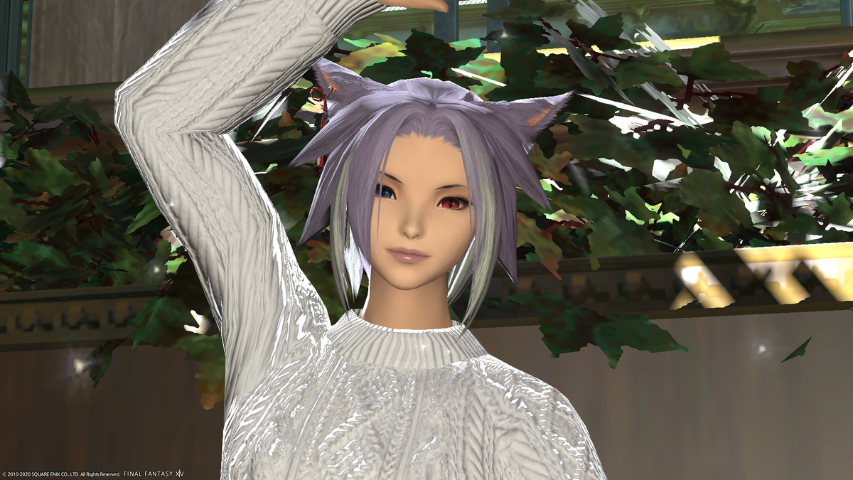 f:id:nighteye001:20201105104550p:plain
