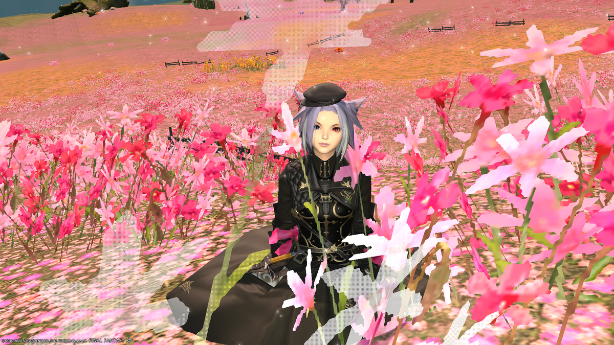 f:id:nighteye001:20201106104208p:plain