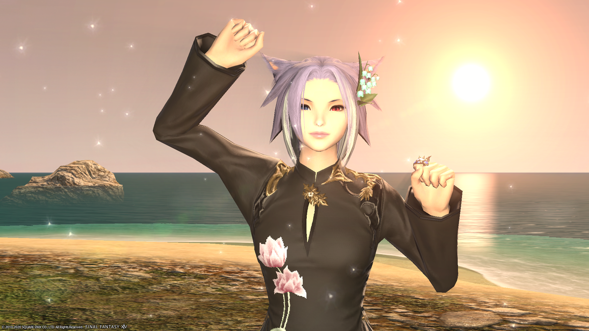 f:id:nighteye001:20201110203922p:plain