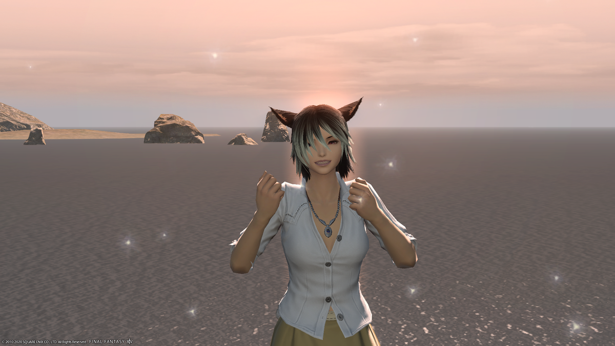 f:id:nighteye001:20201119113719p:plain