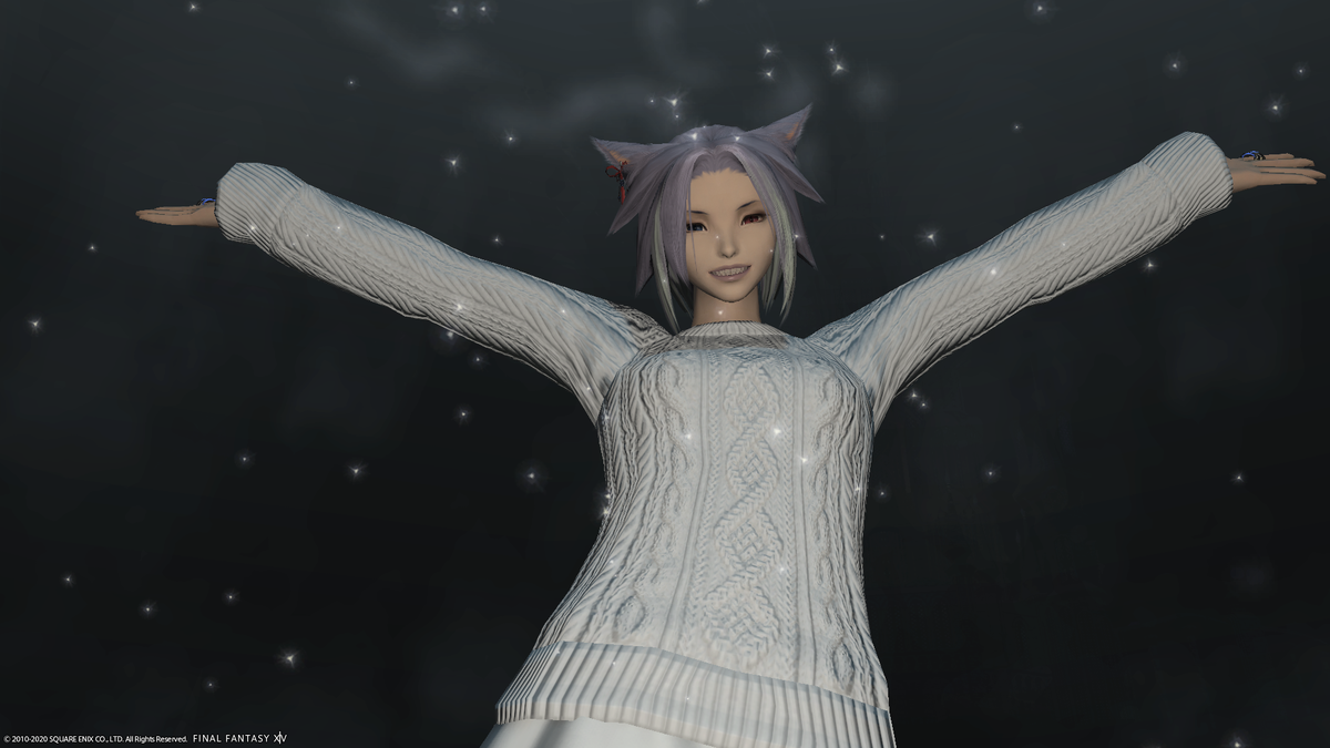 f:id:nighteye001:20201129121048p:plain