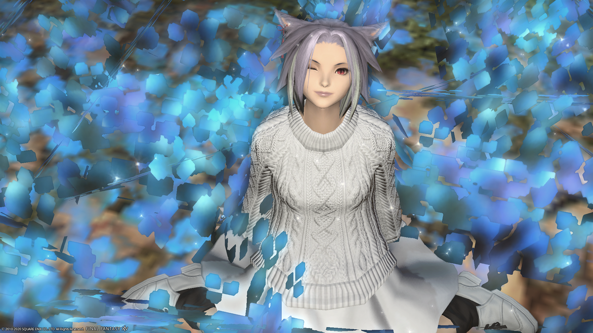 f:id:nighteye001:20201202090827p:plain