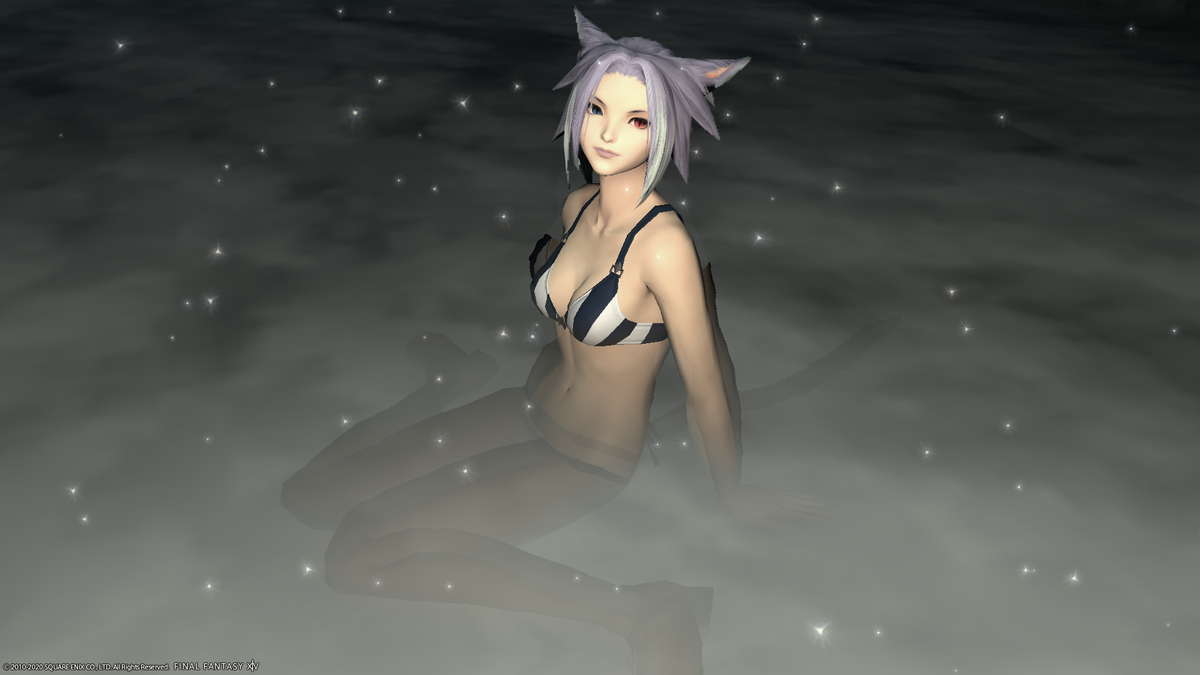 f:id:nighteye001:20201227101118p:plain