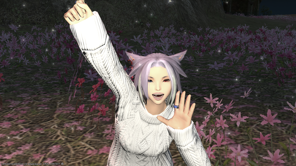 f:id:nighteye001:20201229073931p:plain